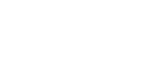 nycc-logo-2021white